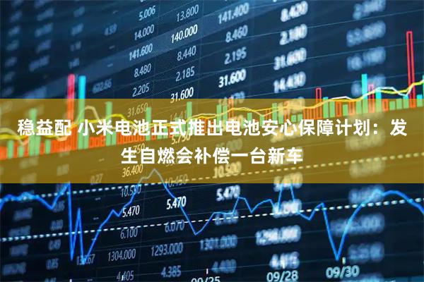 稳益配 小米电池正式推出电池安心保障计划：发生自燃会补偿一台新车
