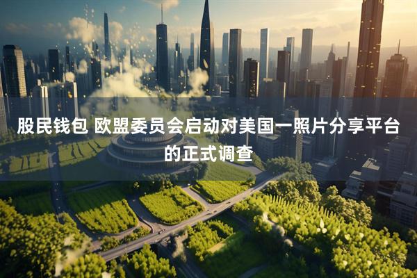 股民钱包 欧盟委员会启动对美国一照片分享平台的正式调查