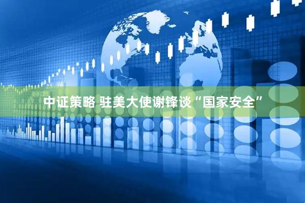 中证策略 驻美大使谢锋谈“国家安全”
