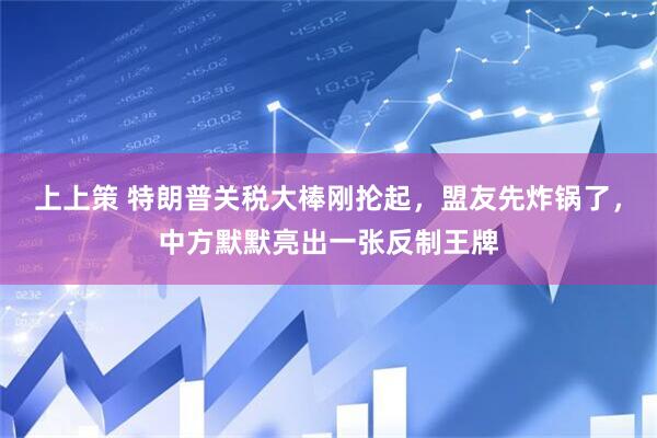 上上策 特朗普关税大棒刚抡起，盟友先炸锅了，中方默默亮出一张反制王牌
