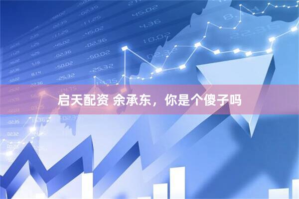 启天配资 余承东，你是个傻子吗